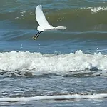 Joli 3 Pieces, 2 Chambres, Lumineux, Vue Degagee, Balcon & Parking Prive * Villers-sur-Mer