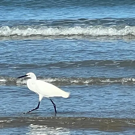 Apartment Joli 3 P Lumineux, Vue Degagee, Balcon Et Parking