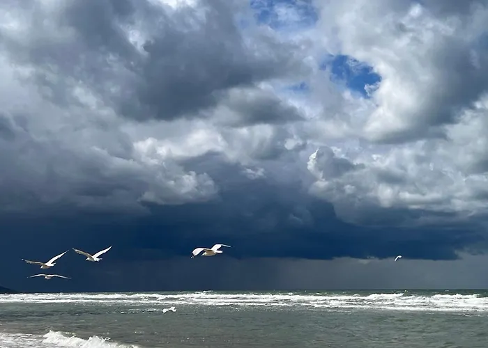 公寓 Joli 3 Pieces, 2 Chambres, 6 Personnes, Clair, Vue Degagee, Balcon & Parking Prive *