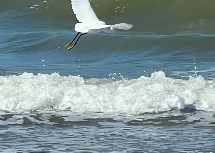 Joli 3 Pieces, 2 Chambres, 6 Personnes, Clair, Vue Degagee, Balcon & Parking Prive * 滨海维莱