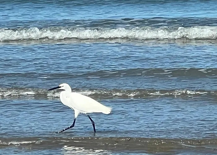 Apartment Joli 3 Pieces, 2 Chambres, Lumineux, Vue Degagee, Balcon & Parking Prive